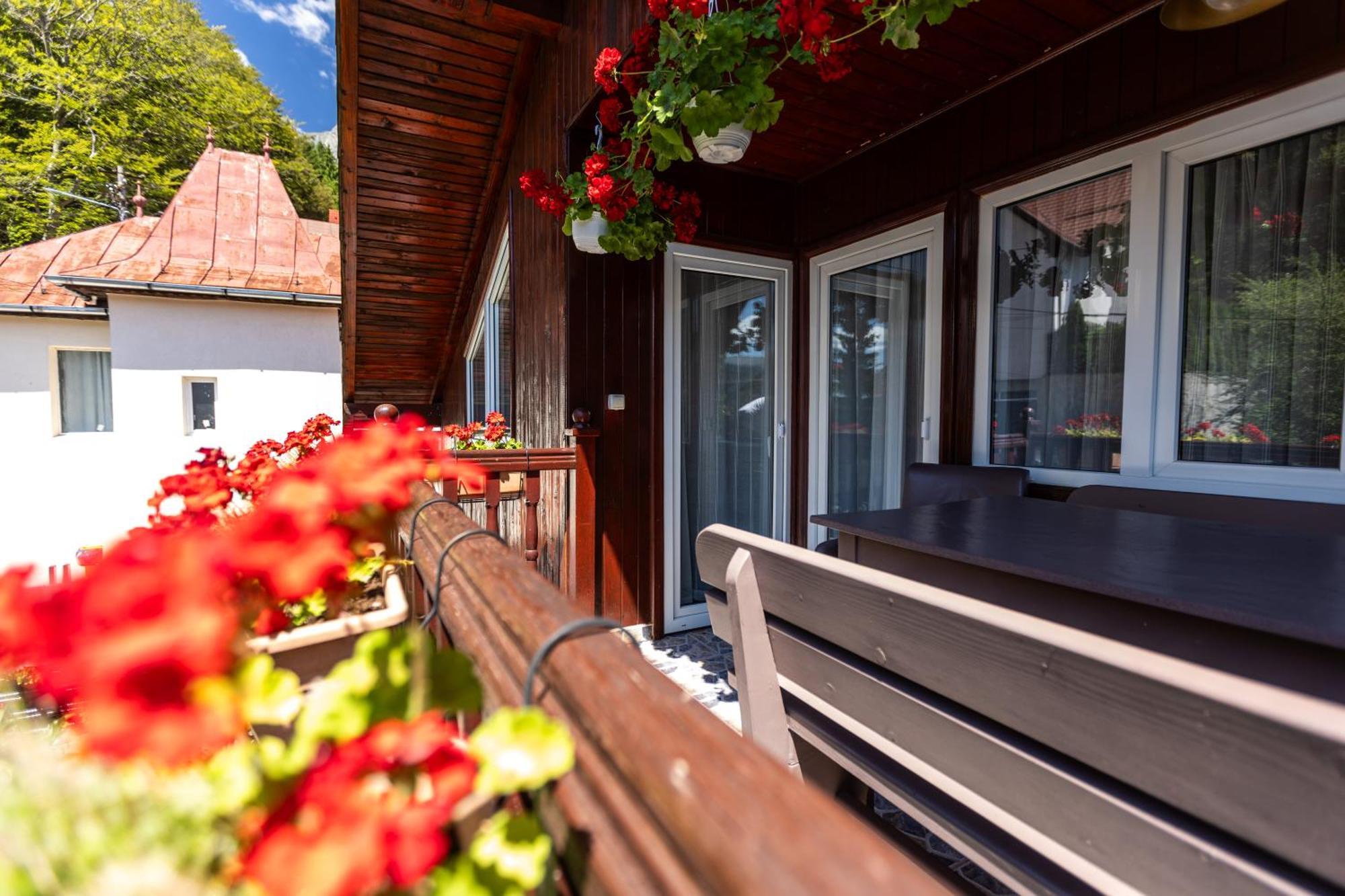 Villa Falco Bianco Busteni Luaran gambar